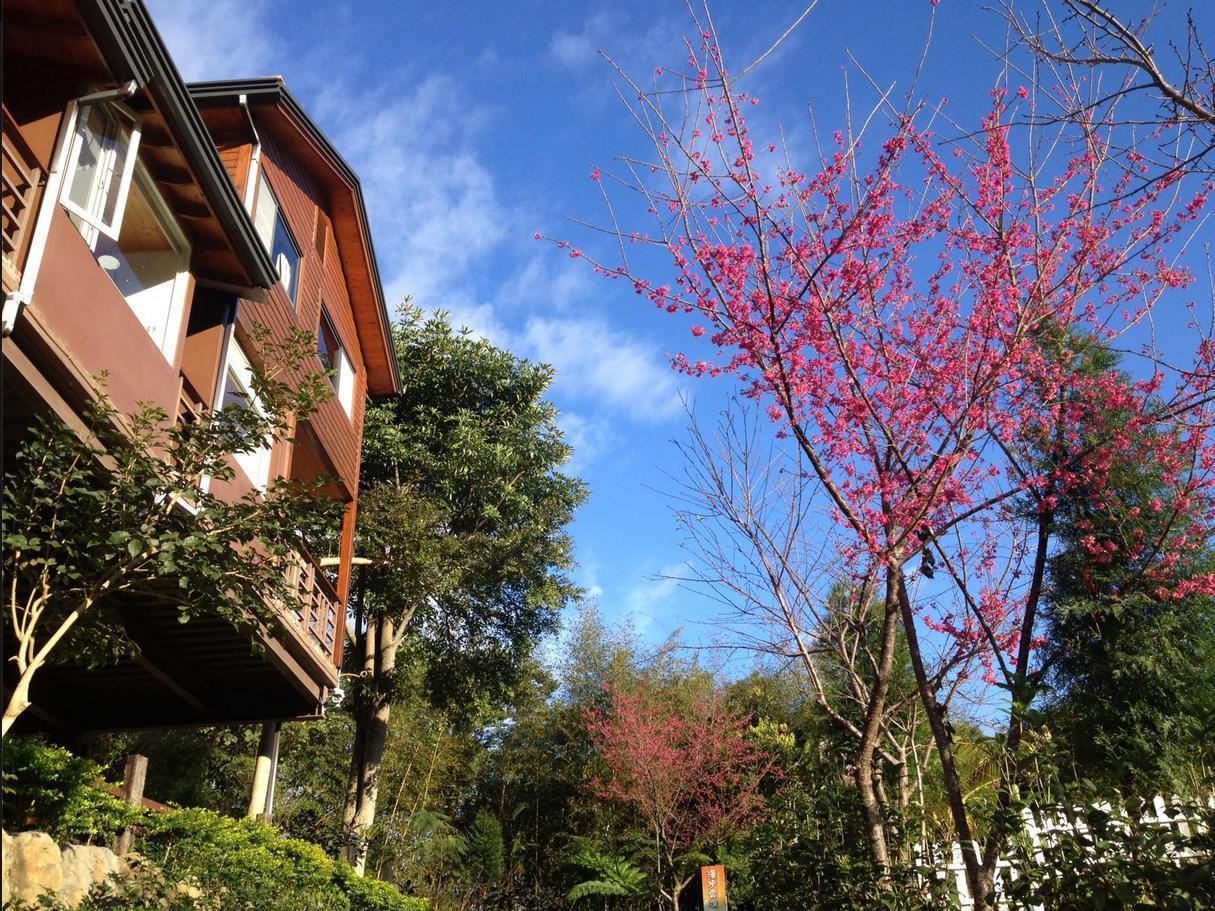 Walk Cloud Bed And Breakfast Meishan Exteriér fotografie