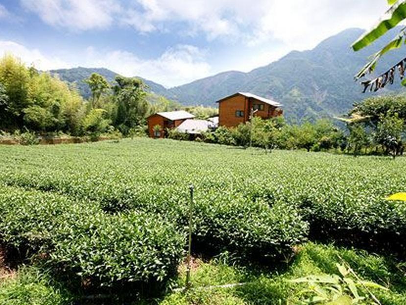 Walk Cloud Bed And Breakfast Meishan Exteriér fotografie